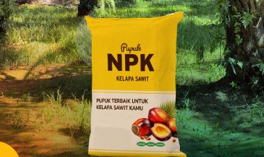 Fungsi Pupuk NPK Untuk Tanaman Sawit